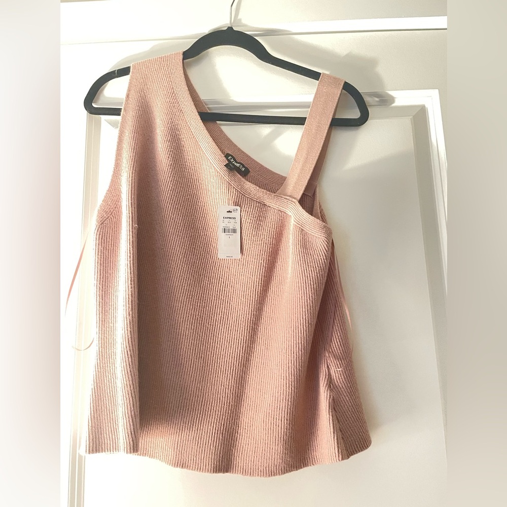Express sweater top